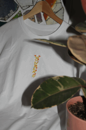 T-Shirt Wonders